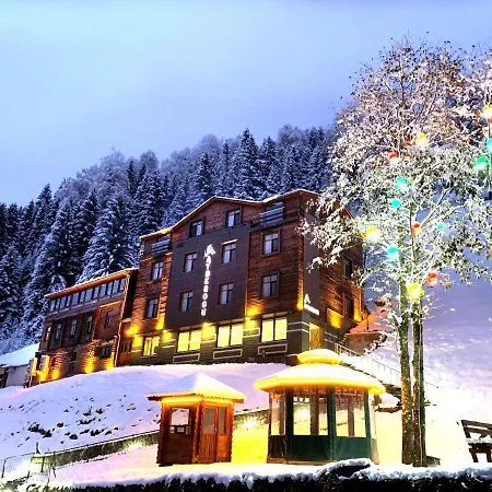 Hotel Ayderoom Ayder Yaylasi