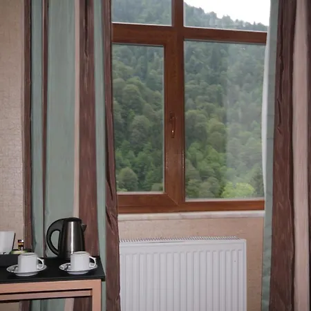 Hotel Ayderoom
