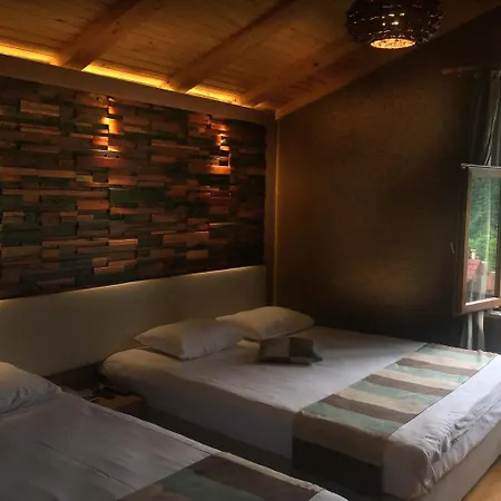 Hotel Ayderoom Ayder Yaylasi