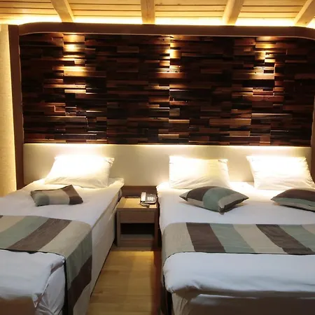 Hotel Ayderoom Ayder Yaylasi