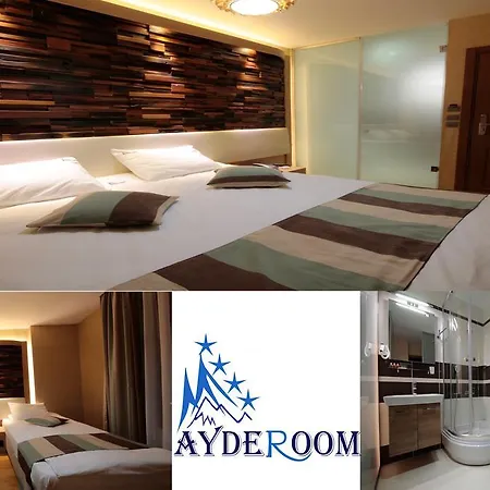 Hotel Ayderoom